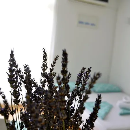 Appartement Lu Charming Studio